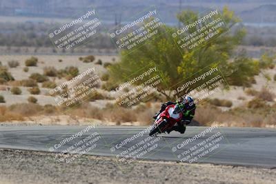 media/Apr-10-2022-SoCal Trackdays (Sun) [[f104b12566]]/Turn 5 Tree of Life (1040am)/